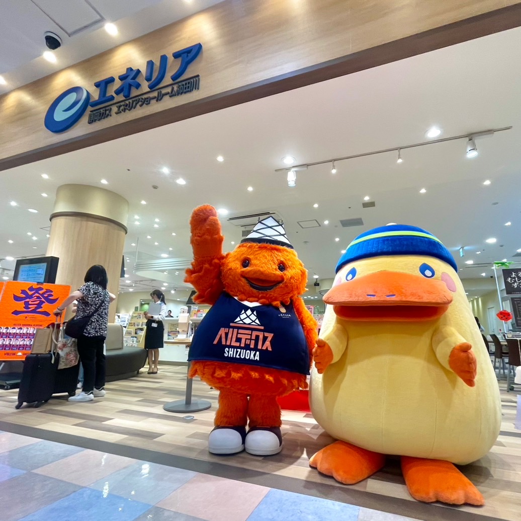 出演報告】8/4(日)「ベルテックス静岡と一緒に夏を楽しもう！」静岡