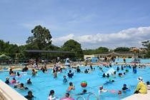 大浜公園プールイベントにてイベントを開催します ベルテックス静岡 プロバスケットボールチームveltex静岡