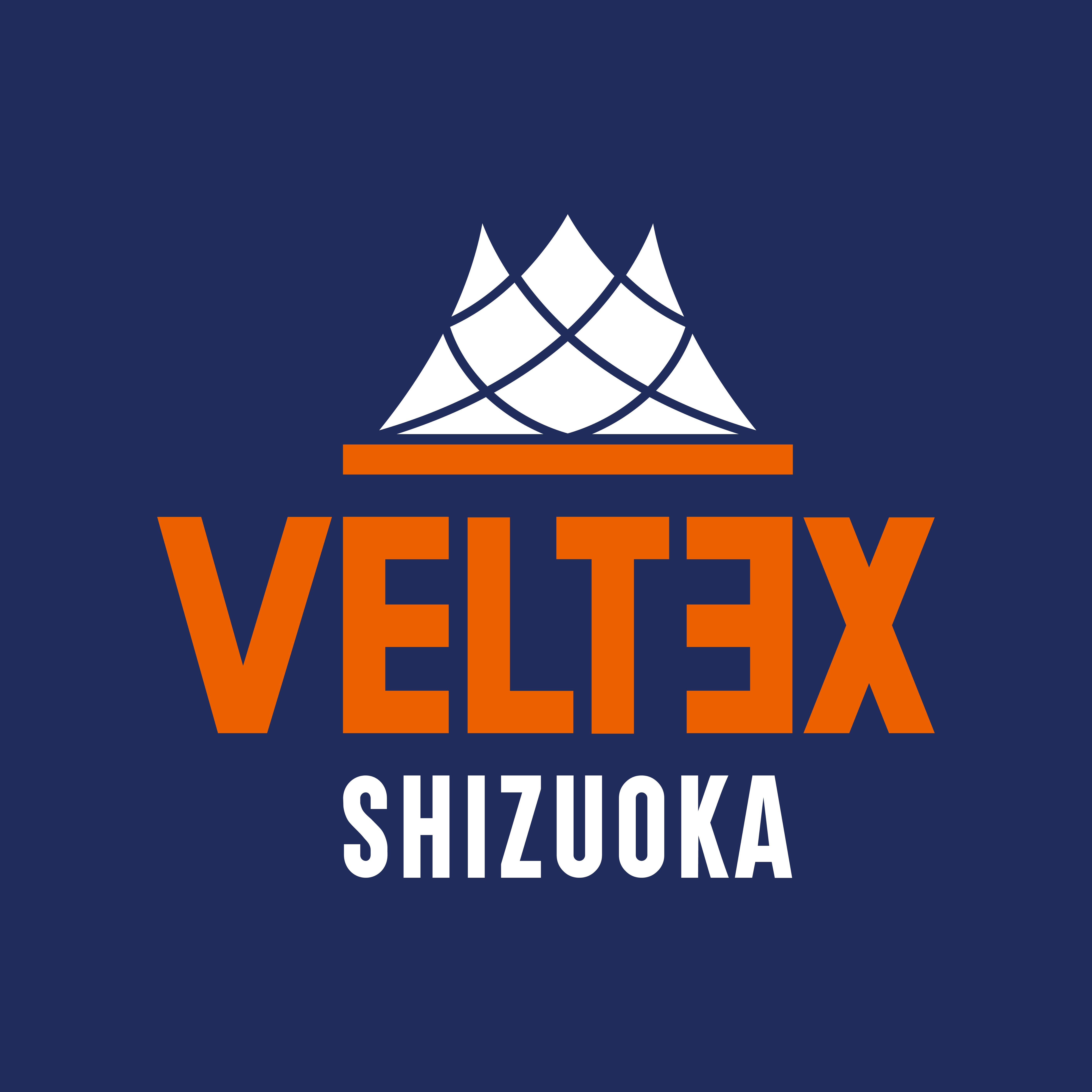 ベルテックス静岡 プロバスケットボールチームVELTEX静岡